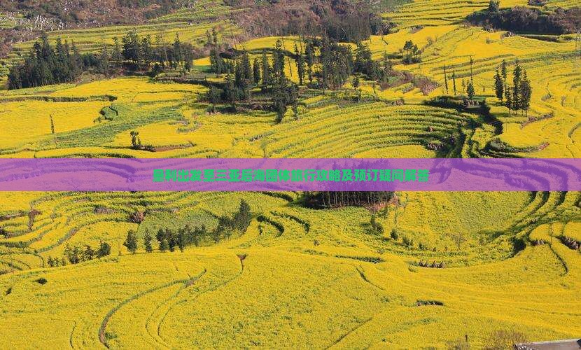 垦利出发至三亚后海团体旅行攻略及预订疑问解答