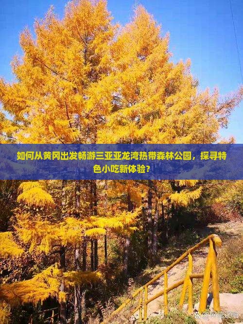 如何从黄冈出发畅游三亚亚龙湾热带森林公园，探寻特色小吃新体验？