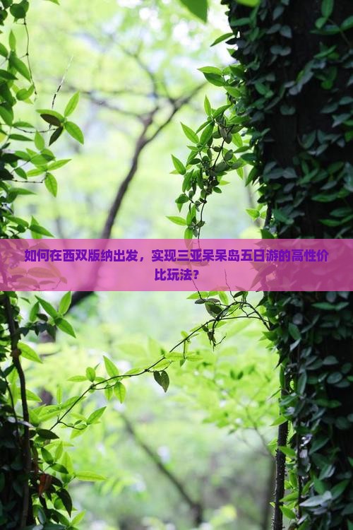 如何在西双版纳出发，实现三亚呆呆岛五日游的高性价比玩法？
