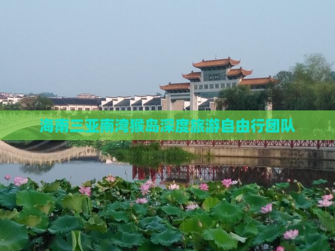 海南三亚南湾猴岛深度旅游自由行团队