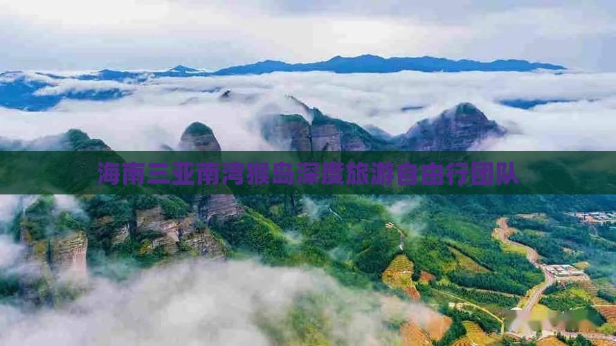 海南三亚南湾猴岛深度旅游自由行团队