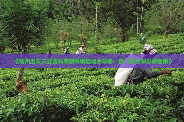 《随州出发三亚西岛旅游网精选地点攻略：热门景点深度游指南》