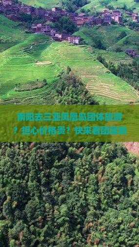 南阳去三亚凤凰岛团体旅游？担心价格贵？快来看团建新玩法