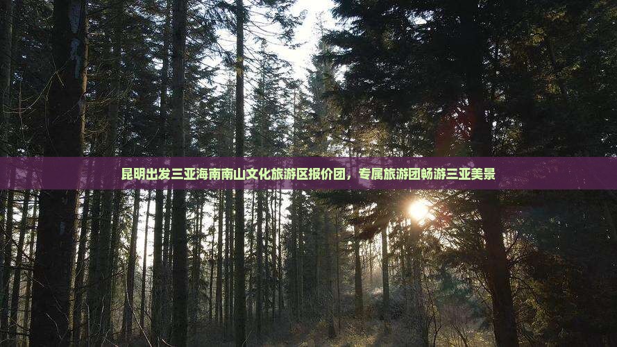 昆明出发三亚海南南山文化旅游区报价团，专属旅游团畅游三亚美景