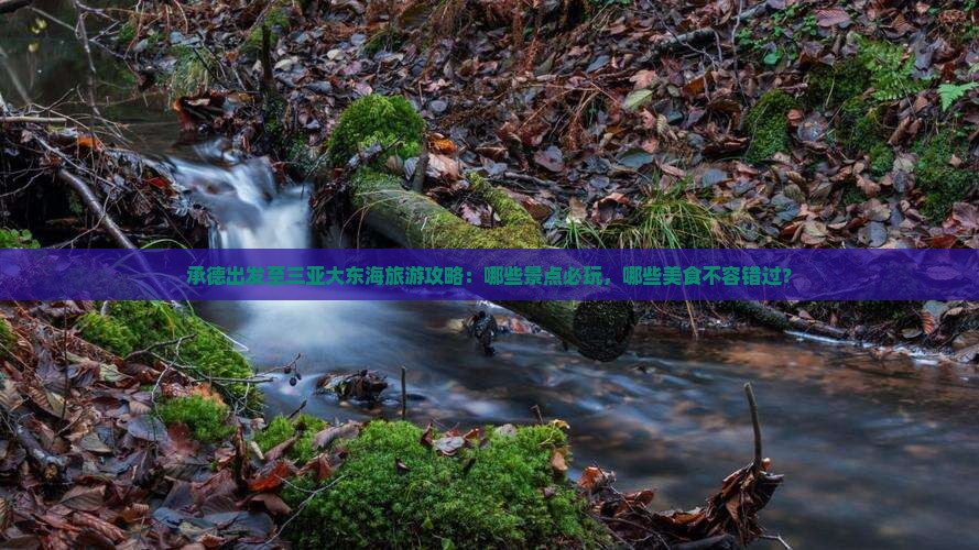 承德出发至三亚大东海旅游攻略：哪些景点必玩，哪些美食不容错过？