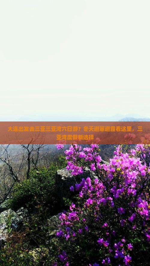 大连出发去三亚三亚湾六日游？冬天避寒避霾看这里，三亚湾度假新选择