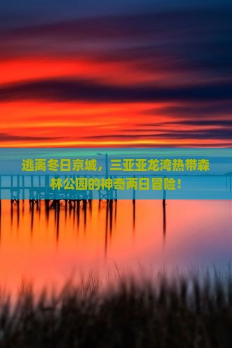 逃离冬日京城，三亚亚龙湾热带森林公园的神奇两日冒险！