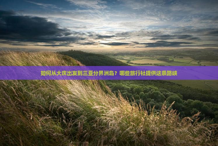 如何从大庆出发到三亚分界洲岛？哪些旅行社提供这条路峡
