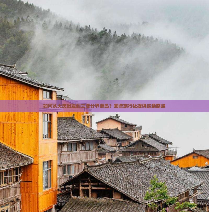 如何从大庆出发到三亚分界洲岛？哪些旅行社提供这条路峡
