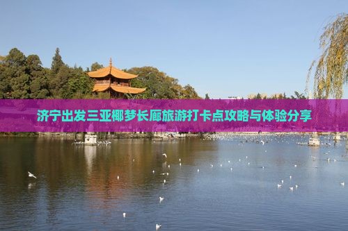 济宁出发三亚椰梦长廊旅游打卡点攻略与体验分享