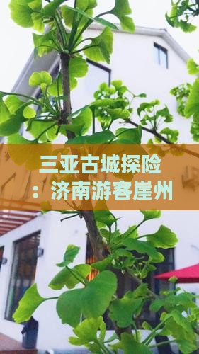 三亚古城探险：济南游客崖州一日游