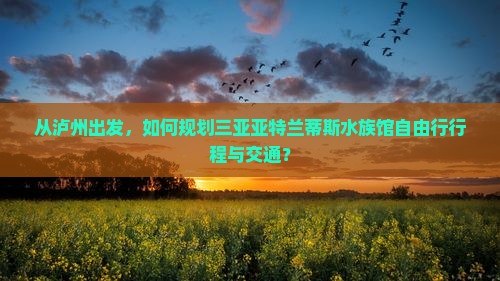 从泸州出发，如何规划三亚亚特兰蒂斯水族馆自由行行程与交通？