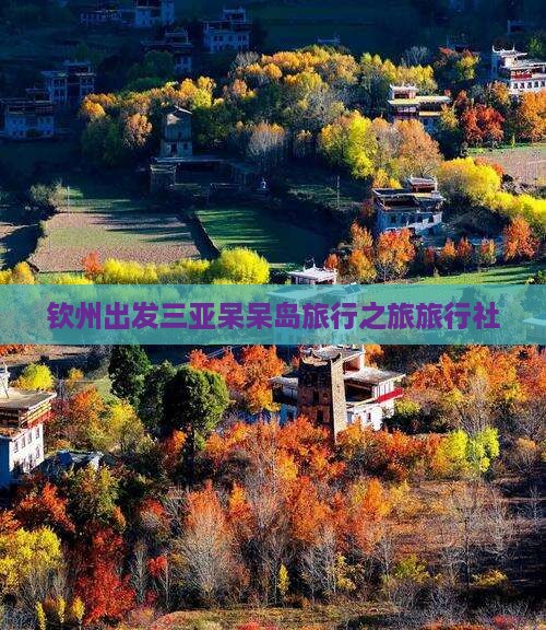 钦州出发三亚呆呆岛旅行之旅旅行社