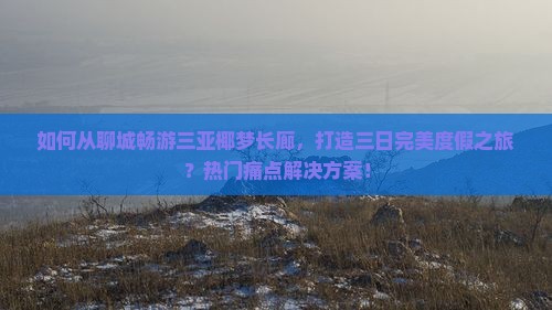 如何从聊城畅游三亚椰梦长廊，打造三日完美度假之旅？热门痛点解决方案！