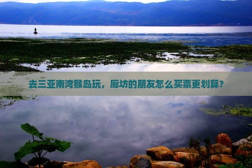 去三亚南湾猴岛玩，廊坊的朋友怎么买票更划算？