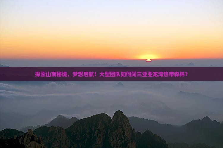 探索山南秘境，梦想启航！大型团队如何闯三亚亚龙湾热带森林？