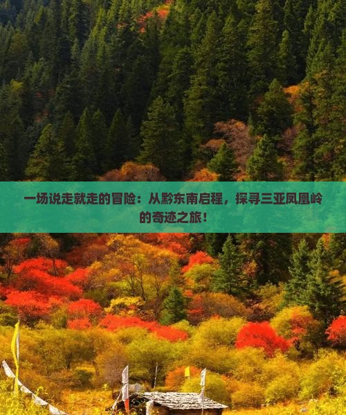 一场说走就走的冒险：从黔东南启程，探寻三亚凤凰岭的奇迹之旅！
