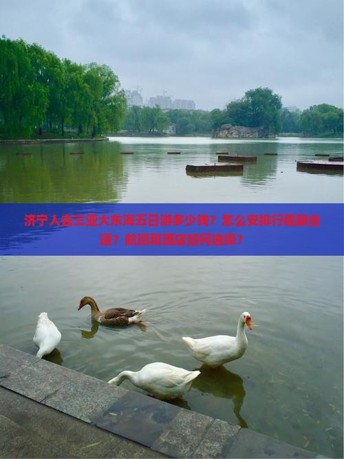 济宁人去三亚大东海五日游多少钱？怎么安排行程最合适？航班和酒店如何选择？