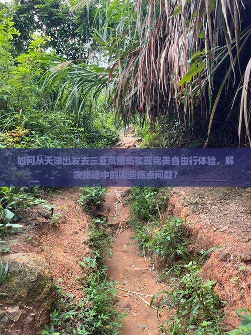 如何从天津出发去三亚凤凰岛实现完美自由行体验，解决旅途中的哪些痛点问题？