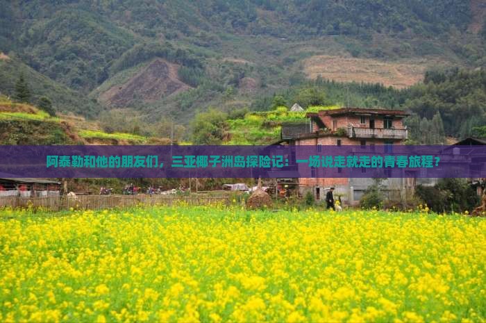 阿泰勒和他的朋友们，三亚椰子洲岛探险记：一场说走就走的青春旅程？