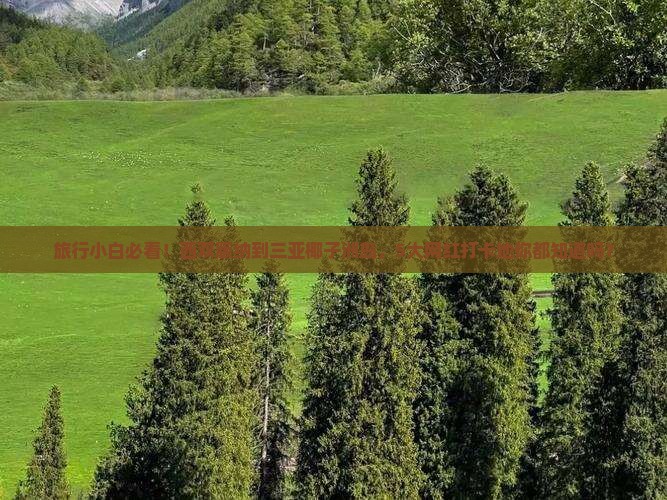旅行小白必看！西双版纳到三亚椰子洲岛，5大网红打卡地你都知道吗？