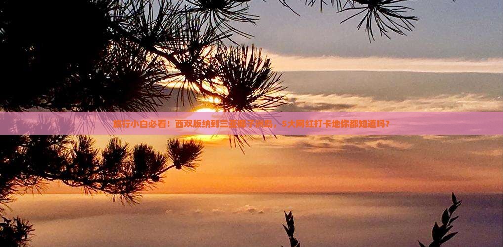 旅行小白必看！西双版纳到三亚椰子洲岛，5大网红打卡地你都知道吗？
