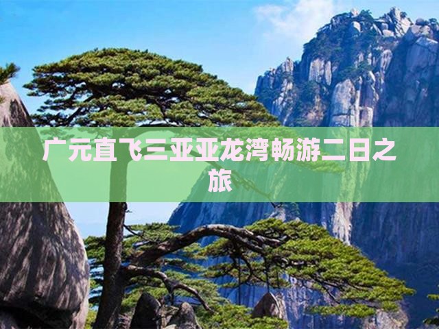 广元直飞三亚亚龙湾畅游二日之旅
