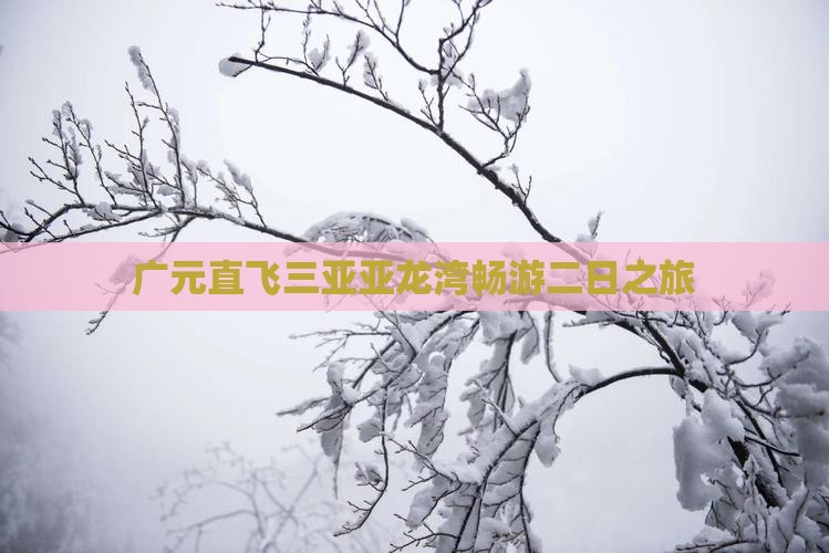 广元直飞三亚亚龙湾畅游二日之旅