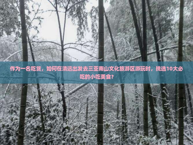 作为一名吃货，如何在清远出发去三亚南山文化旅游区游玩时，挑选10大必吃的小吃美食？