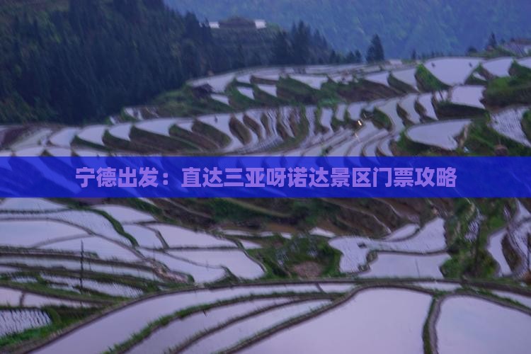 宁德出发：直达三亚呀诺达景区门票攻略