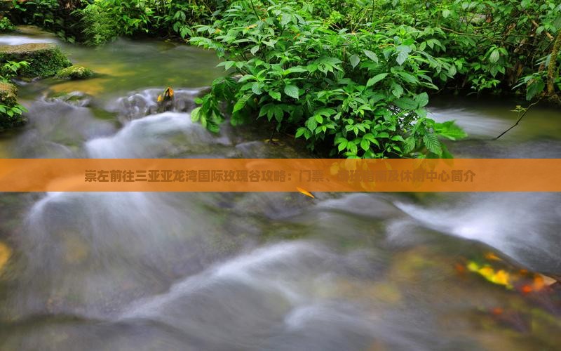 崇左前往三亚亚龙湾国际玫瑰谷攻略：门票、游玩指南及休闲中心简介
