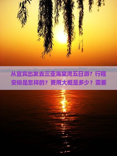 从宜宾出发去三亚海棠湾五日游？行程安排是怎样的？费用大概是多少？需要注意什么？