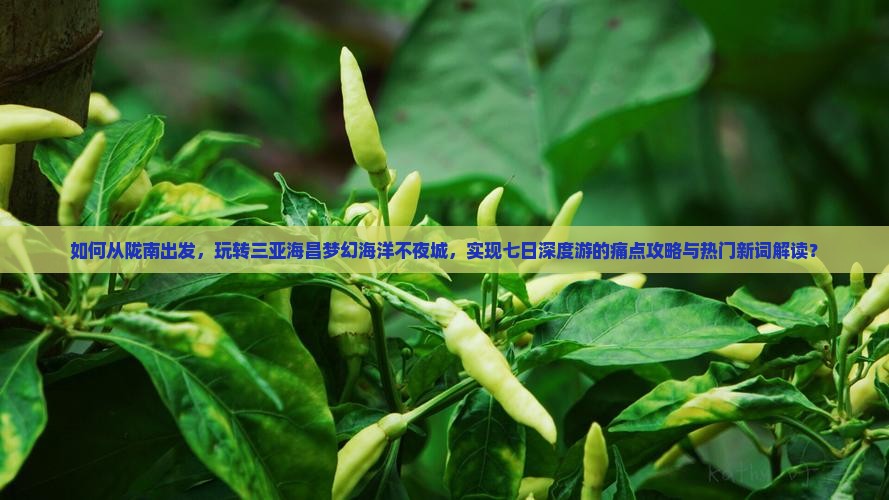 如何从陇南出发，玩转三亚海昌梦幻海洋不夜城，实现七日深度游的痛点攻略与热门新词解读？