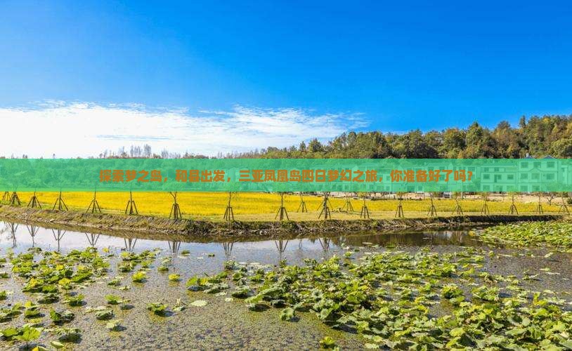 探索梦之岛，和县出发，三亚凤凰岛四日梦幻之旅，你准备好了吗？