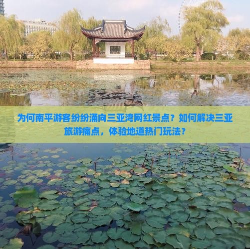 为何南平游客纷纷涌向三亚湾网红景点？如何解决三亚旅游痛点，体验地道热门玩法？