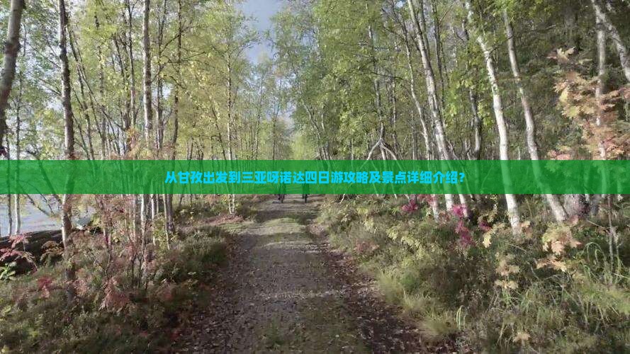 从甘孜出发到三亚呀诺达四日游攻略及景点详细介绍？