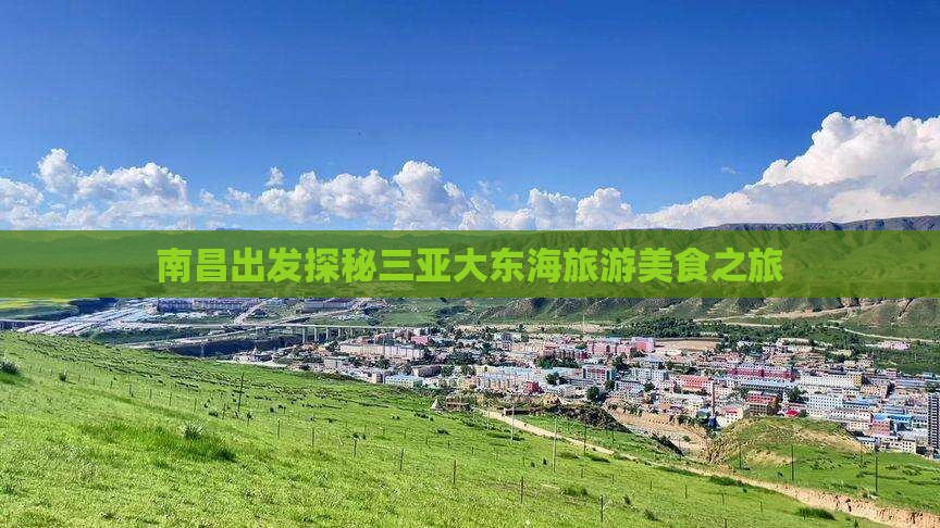 南昌出发探秘三亚大东海旅游美食之旅