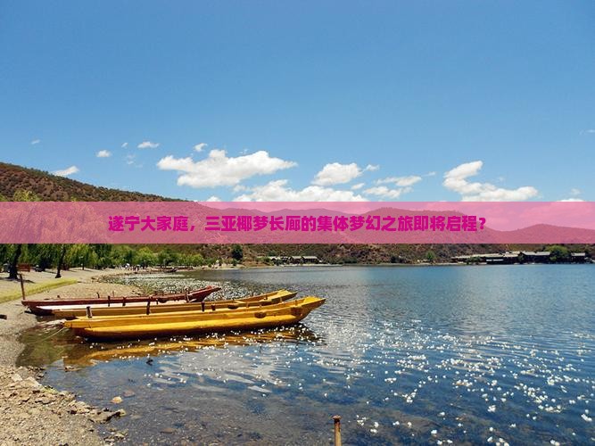 遂宁大家庭，三亚椰梦长廊的集体梦幻之旅即将启程？