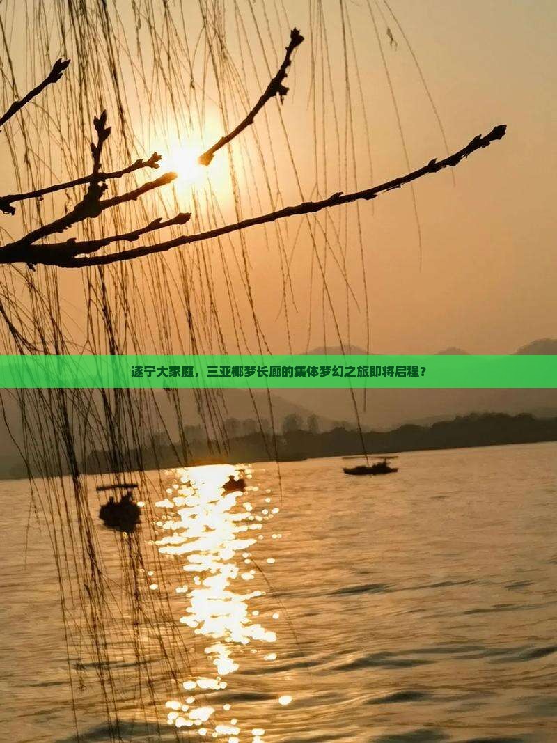 遂宁大家庭，三亚椰梦长廊的集体梦幻之旅即将启程？