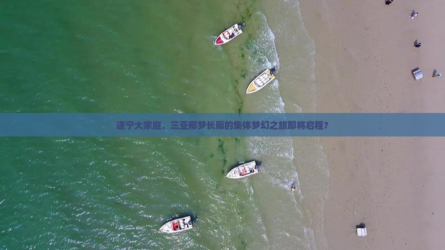 遂宁大家庭，三亚椰梦长廊的集体梦幻之旅即将启程？