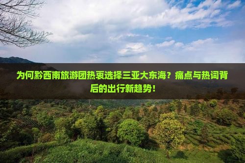 为何黔西南旅游团热衷选择三亚大东海？痛点与热词背后的出行新趋势！