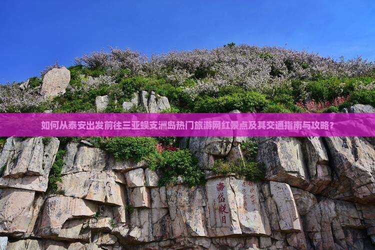 如何从泰安出发前往三亚蜈支洲岛热门旅游网红景点及其交通指南与攻略？