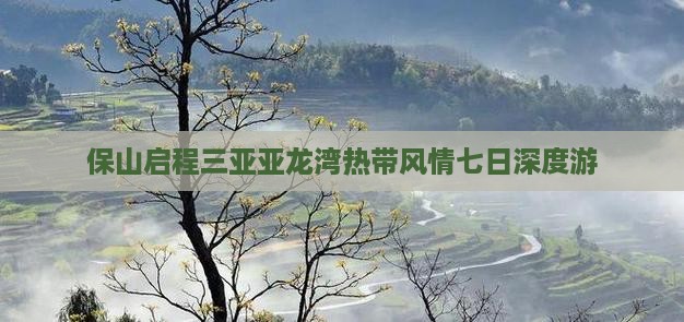 保山启程三亚亚龙湾热带风情七日深度游