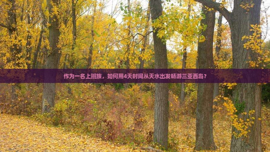 作为一名上班族，如何用4天时间从天水出发畅游三亚西岛？