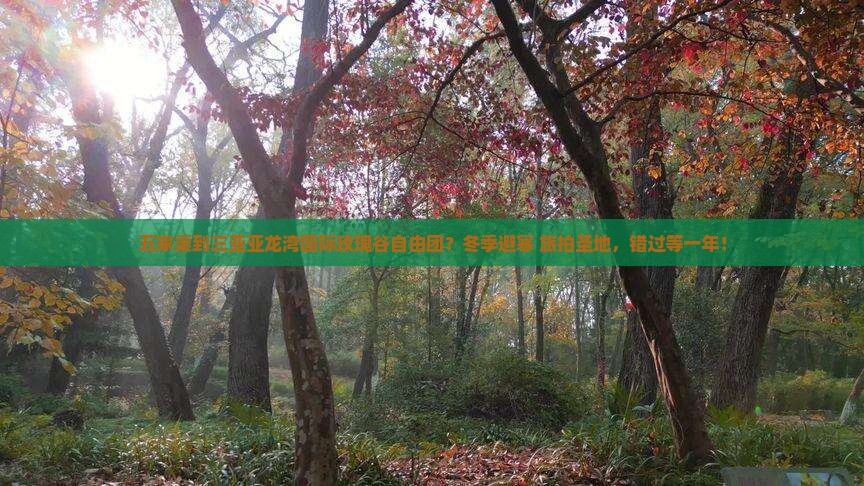 五家渠到三亚亚龙湾国际玫瑰谷自由团？冬季避寒+旅拍圣地，错过等一年！