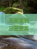五家渠到三亚亚龙湾国际玫瑰谷自由团？冬季避寒+旅拍圣地，错过等一年！
