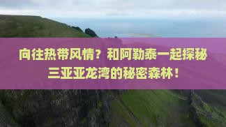 向往热带风情？和阿勒泰一起探秘三亚亚龙湾的秘密森林！
