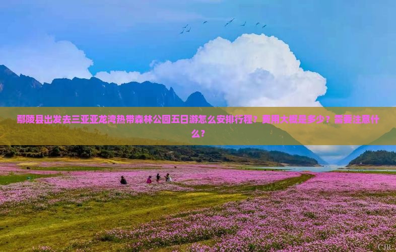 鄢陵县出发去三亚亚龙湾热带森林公园五日游怎么安排行程？费用大概是多少？需要注意什么？
