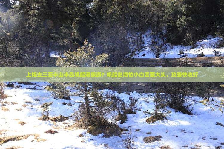 上饶去三亚半山半岛帆船港旅游？帆船出海怕小白变冤大头，攻略快收好