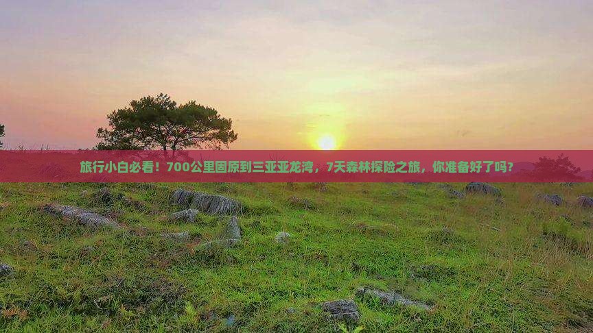 旅行小白必看！700公里固原到三亚亚龙湾，7天森林探险之旅，你准备好了吗？